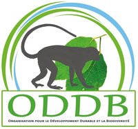 ODDB