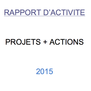 RAPPORT D'ACTIVITÉ 2016