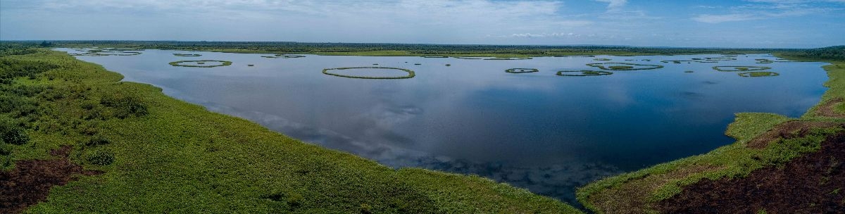 Forêt Hlanzoun - Bénin